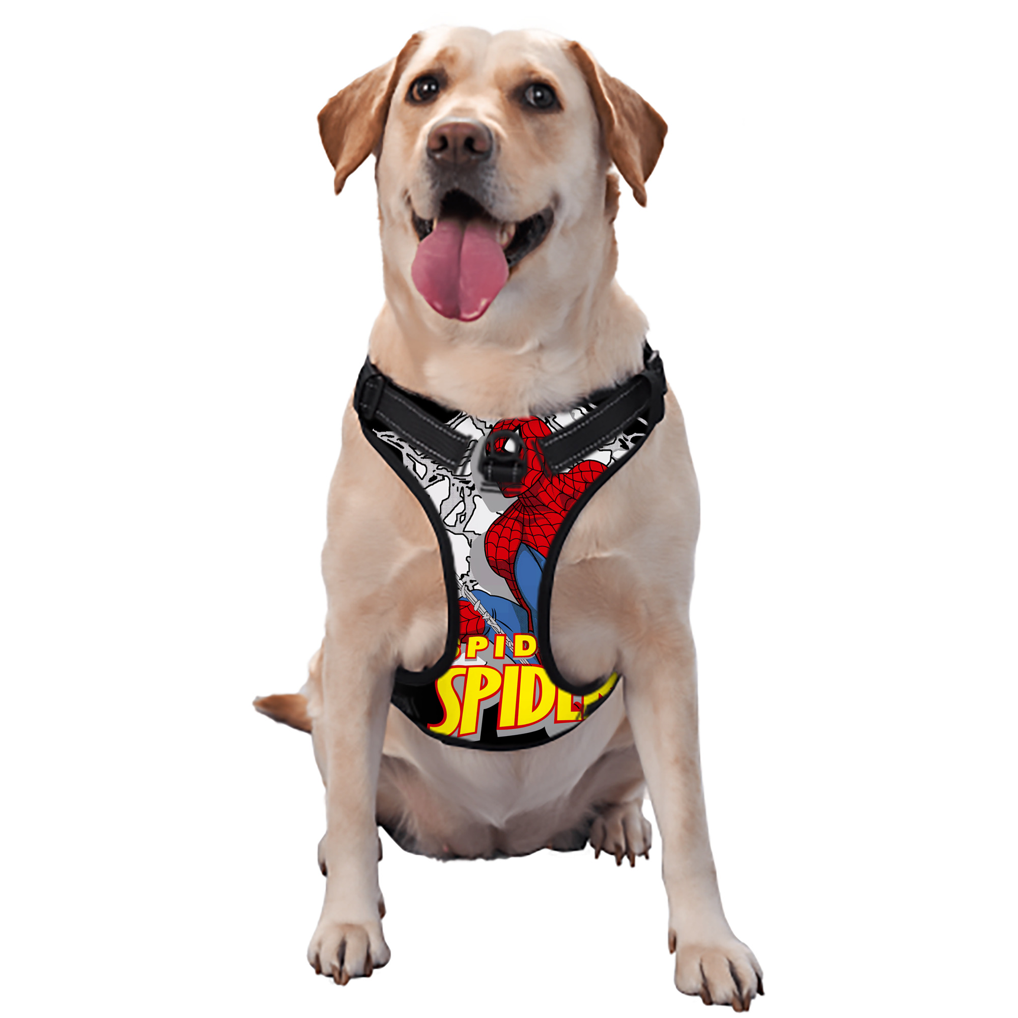 （画像用） Spider Man スパイダーマン ペット用ハーネス